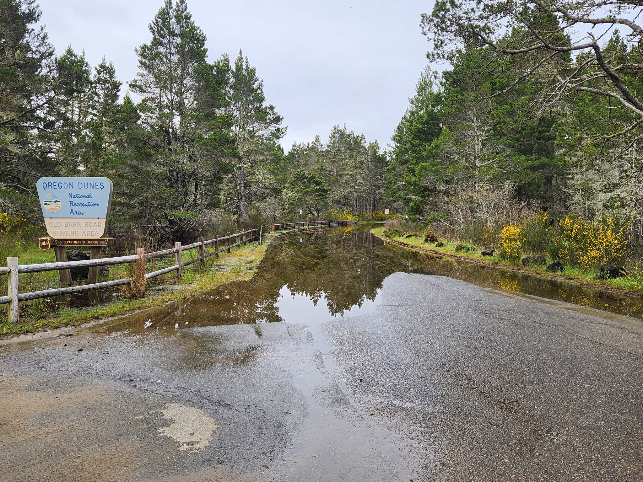 Oregon Dunes Flooding Update - Save The Riders Dunes